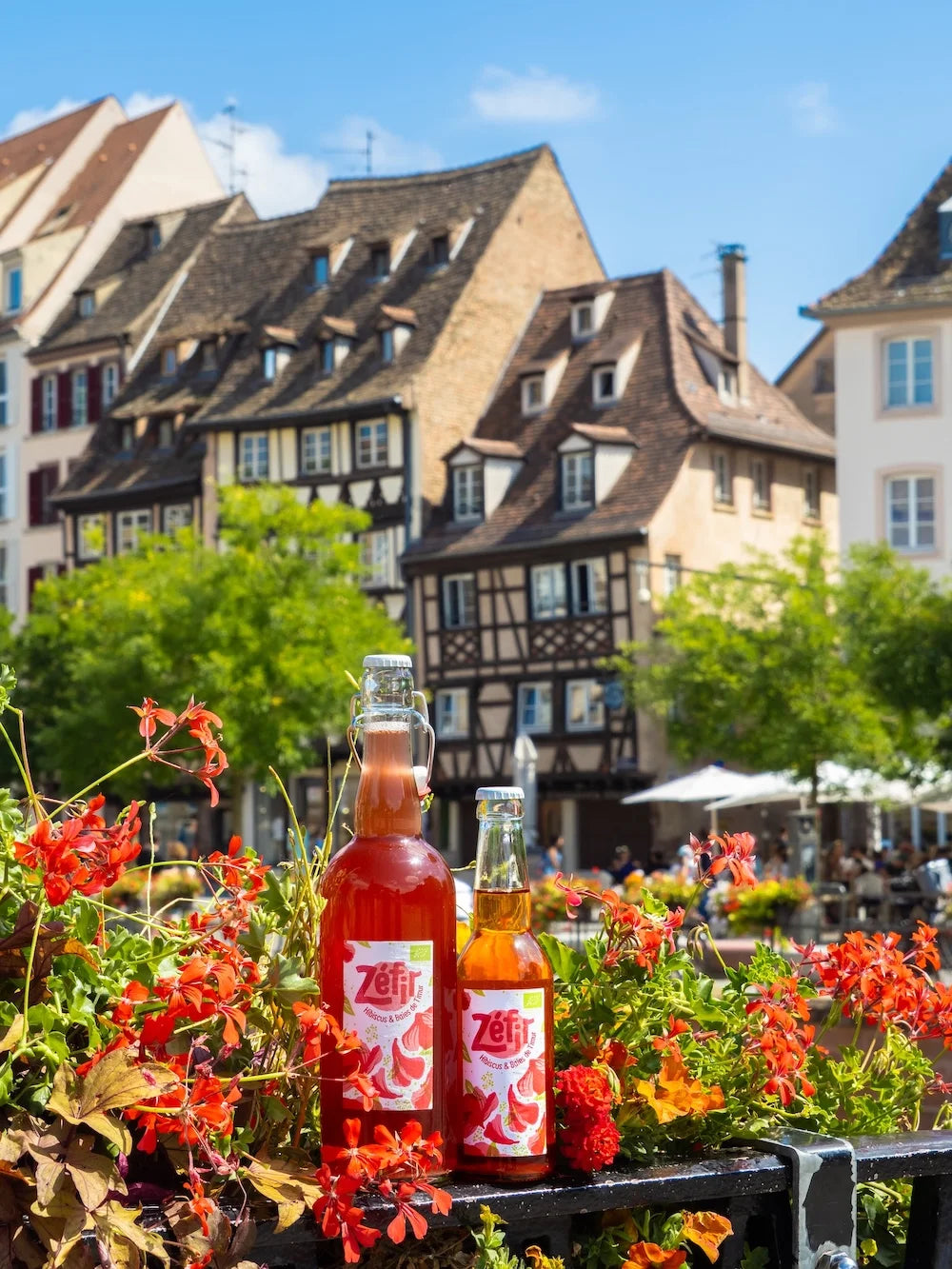 Kéfir Hibiscus & Baies de Timur