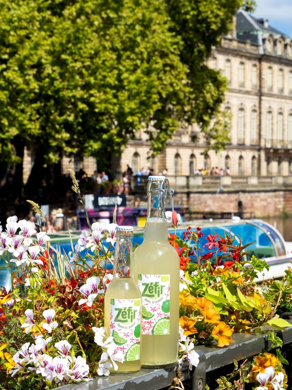 Kéfir Jasmin & Combava