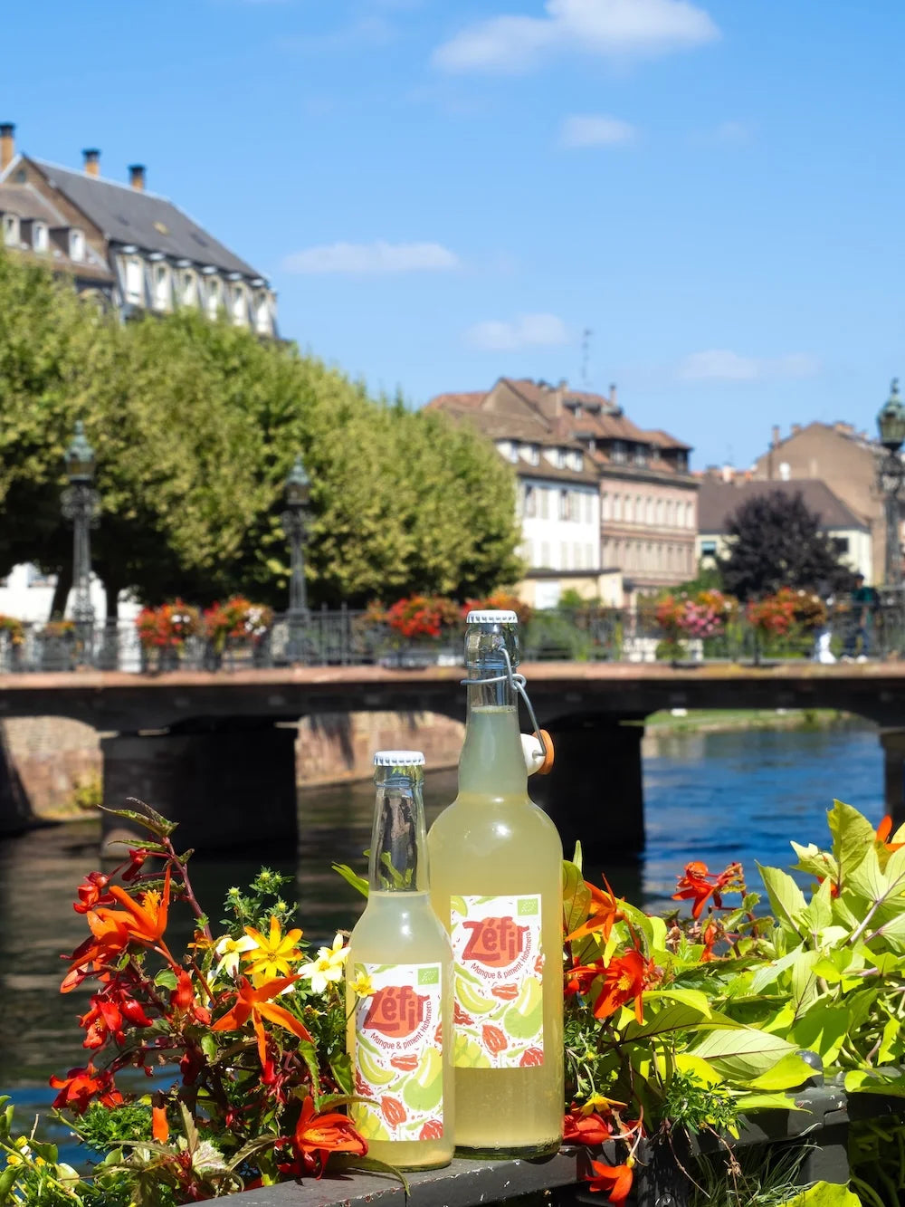 Kéfir Mangue & Piment Habanero